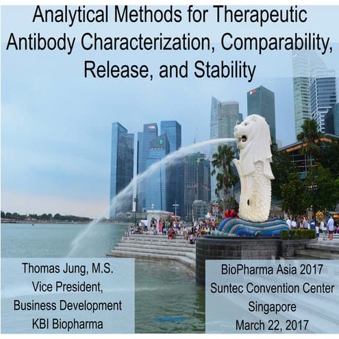 Analytical methods for therapeutic antibody characterization, comparability, ...