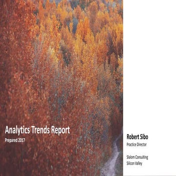 Analytics trends report 2017