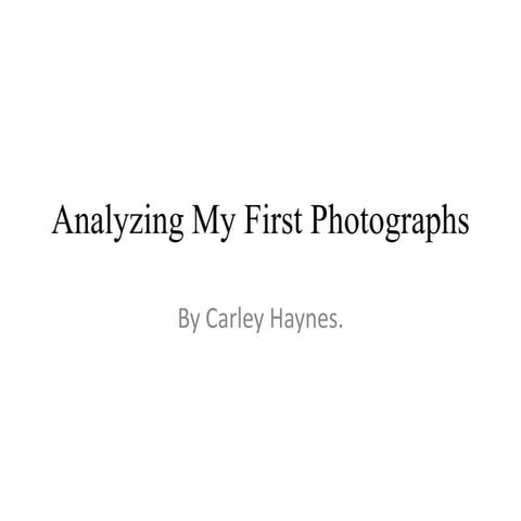 Analyzing my first photographs