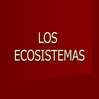 Ana maria ..ecosistemas