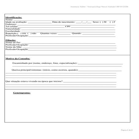 DIVA_2_BRAZIL_FORM.pdf