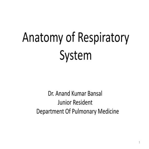 Anatomy of the respiratory system