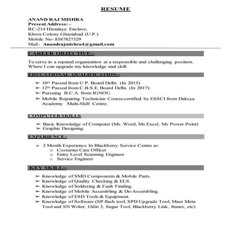 Anand Raj Mishra Resume Circum-Vitae | DOCX