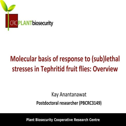 Molecular basis of response to (sub)lethal stresses in Tephritid fruit flies