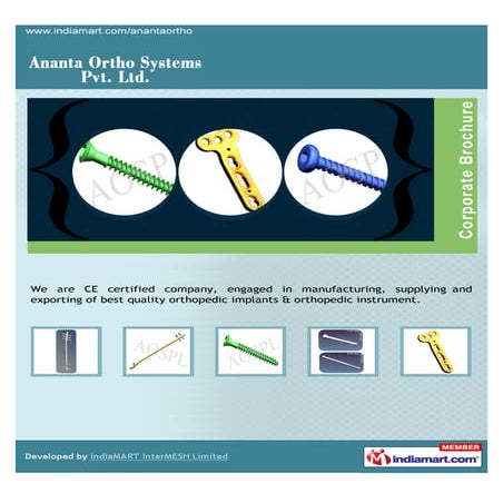 Ananta Ortho Systems Private Limited, Vadodara, Orthopedic Implants And Instr...