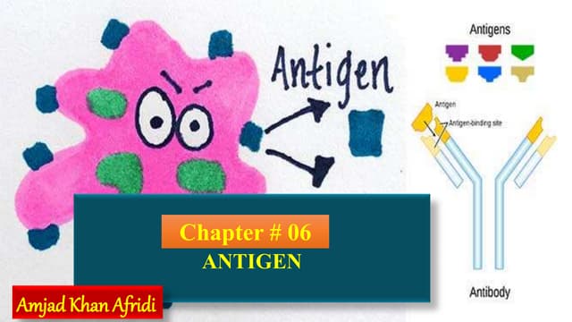 Introduction to  antigen