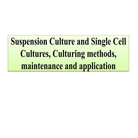 Suspension Culture and Single Cell Cultures, Culturing methods, maintenance and application