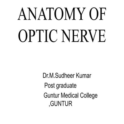Anatomy of optic nerve
