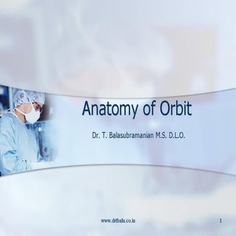 Anatomy of orbit