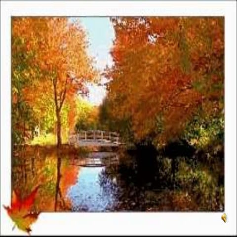 Anapana ppt for school teachers 