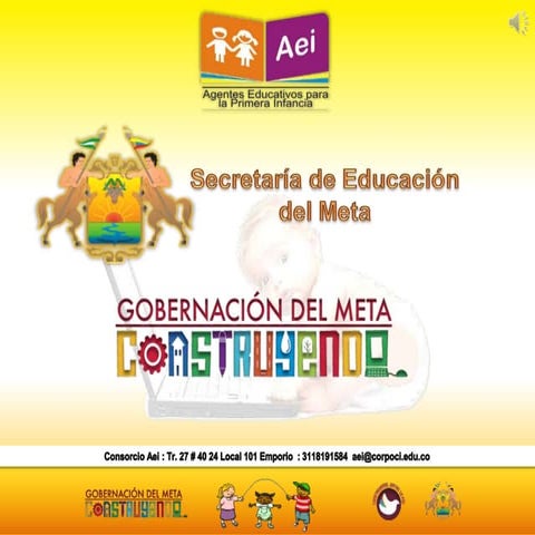 AEI - Ana Patricia Rua - Tema 15