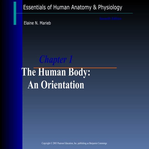 Anatomy and Physiology Chapter 1 - Introduction to Anatomy and Physiology Part 1
