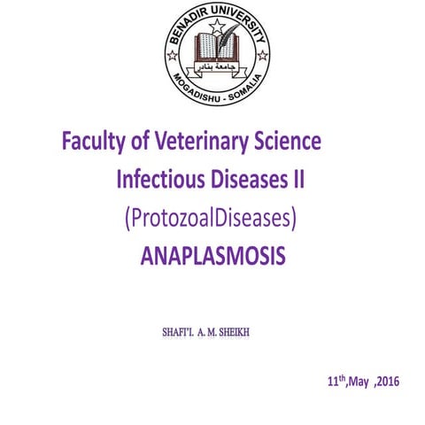 Anaplasmosis 