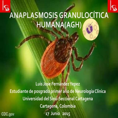 Anaplasmosis granulocitica humana