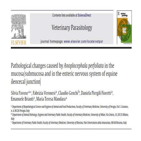 Anaplocefala perfoliata