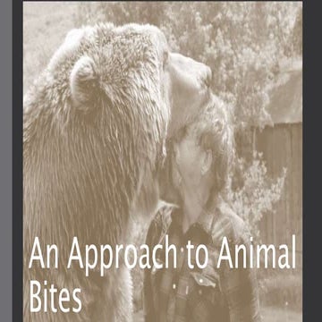 An approach to animal bites
