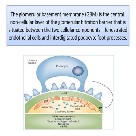 A SHORT APPROACH TO NEPHROTIC SYNDROME.pptx