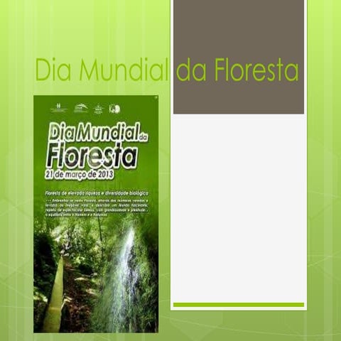 Dia Mundial da Floresta
