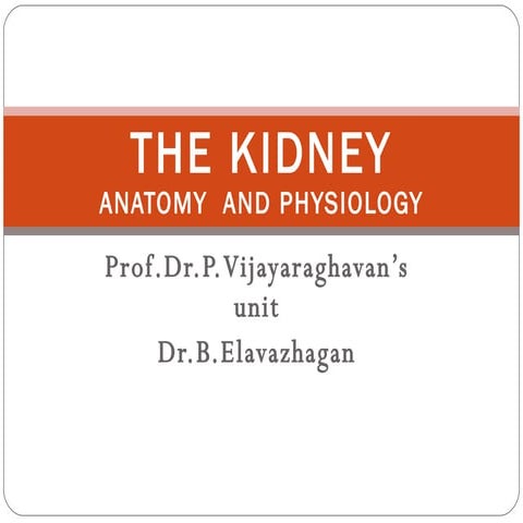 CME: Kidney - Anatomy & Physiology