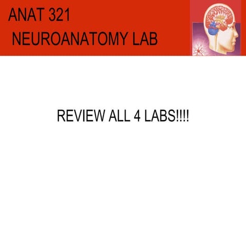 Anat 321 Rev1234 2009
