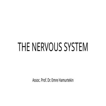 ANAT101-nervous sysgfffffffffffftem.pptx