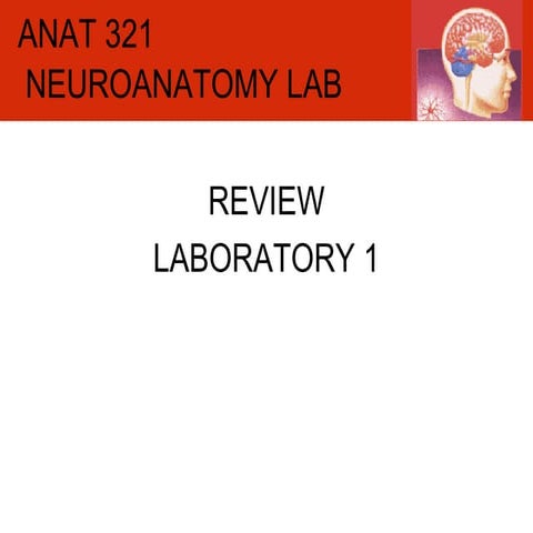 ANAT-321 DEMONSTRATOR LAB1
