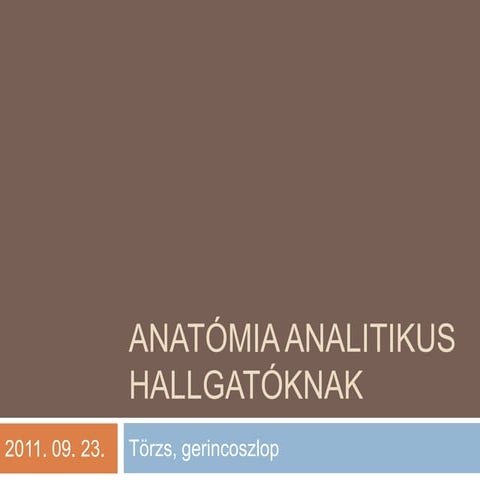 Csontok, csontvázrendszer | PPTX
