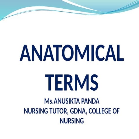 anatmical-terms detail presentation to know the terminology