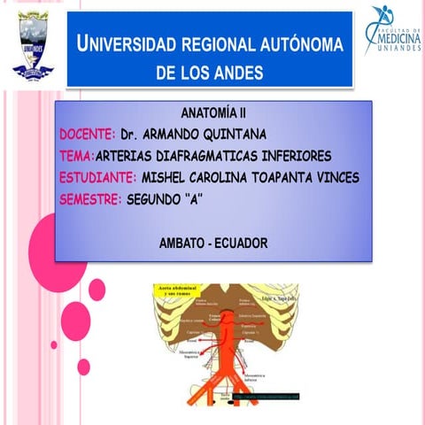 ARTERIAS DIFRAGMATICAS INFERIORES