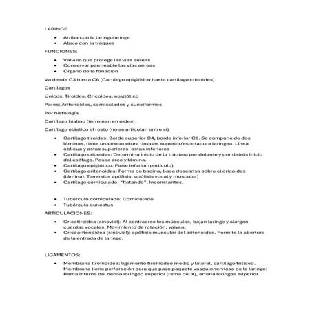 ANATOMIA LARINGE RESUMIDO - WFJPPPPPPpdf