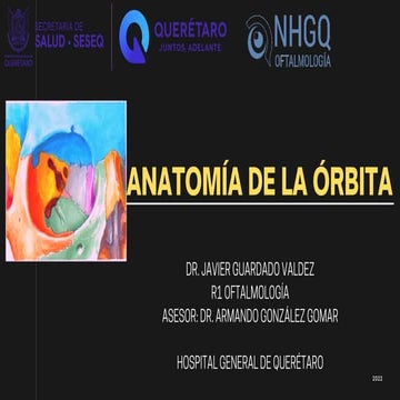 Anatomia de la orbita ocp | PPTX