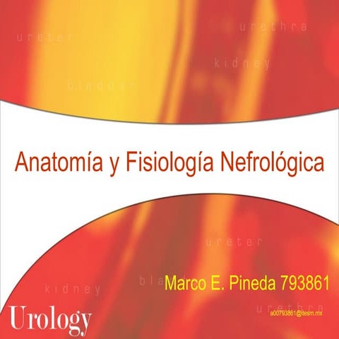 Anatomía Y Fisiología Nefrológica