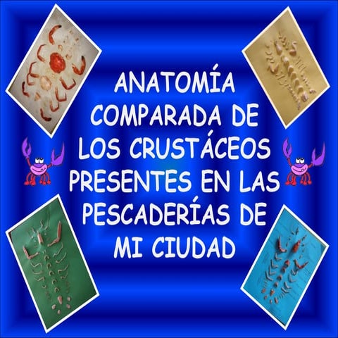 Anatomía comparada de los crustáceos presentes en las pescaderías de mi ciudad
