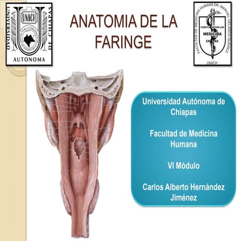 Anatomia de la orofaringe | PPTX