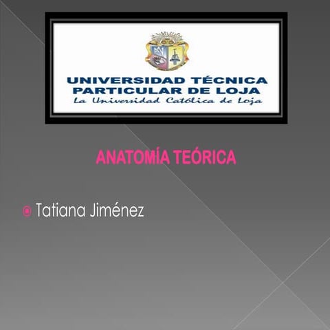 Anatomía de la nariz