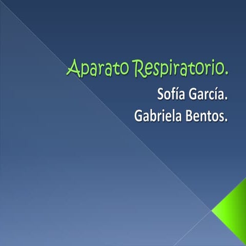 Anatomía del aparato respiratorio