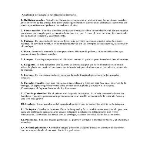 Anatomía del aparato respiratorio humano