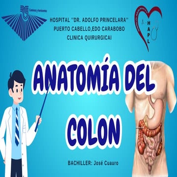 Anatomía del Colon.pdf_20260228_004153_0000 (1).pdf