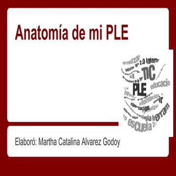  Anatomía de mi PLE 