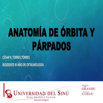 Anatomia de la orbita ocp | PPTX