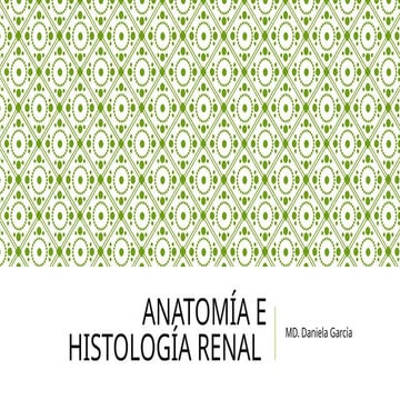 ANATOMÍA E HISTOLOGÍA RENAL - GALLEGO.pptx