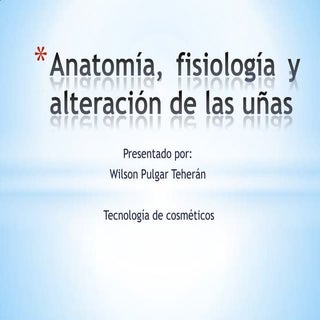 Anatomía, fisiología y alteración d...