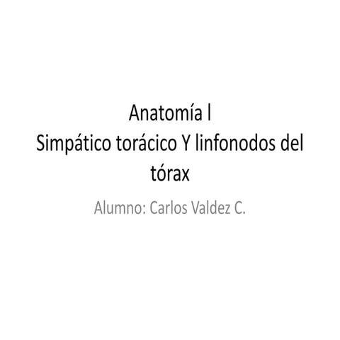 Anatomía de simpático toraxico