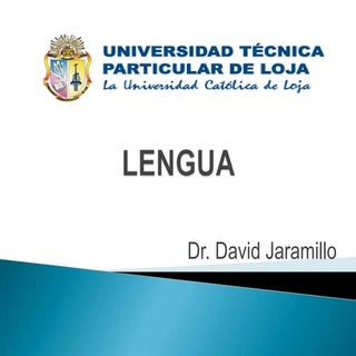 Anatomía (lengua)