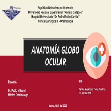Anatomia de la orbita ocp | PPTX