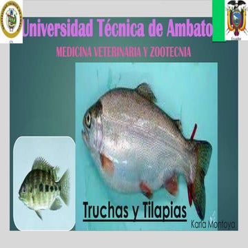 Anatomía Trucha y Tilapia