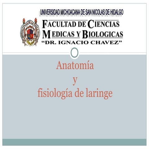 Anatomía y fisiología de laringe