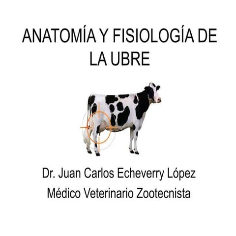 Anatomía y fisiología de la ubre en vacas lecheras | PPT