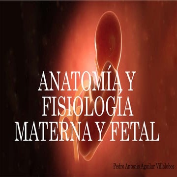 Anatomía y fisiología materna y fetal