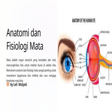 Bagian-bagian-Mata-dan-Fungsinya.pptx kelas 5 | PPTX